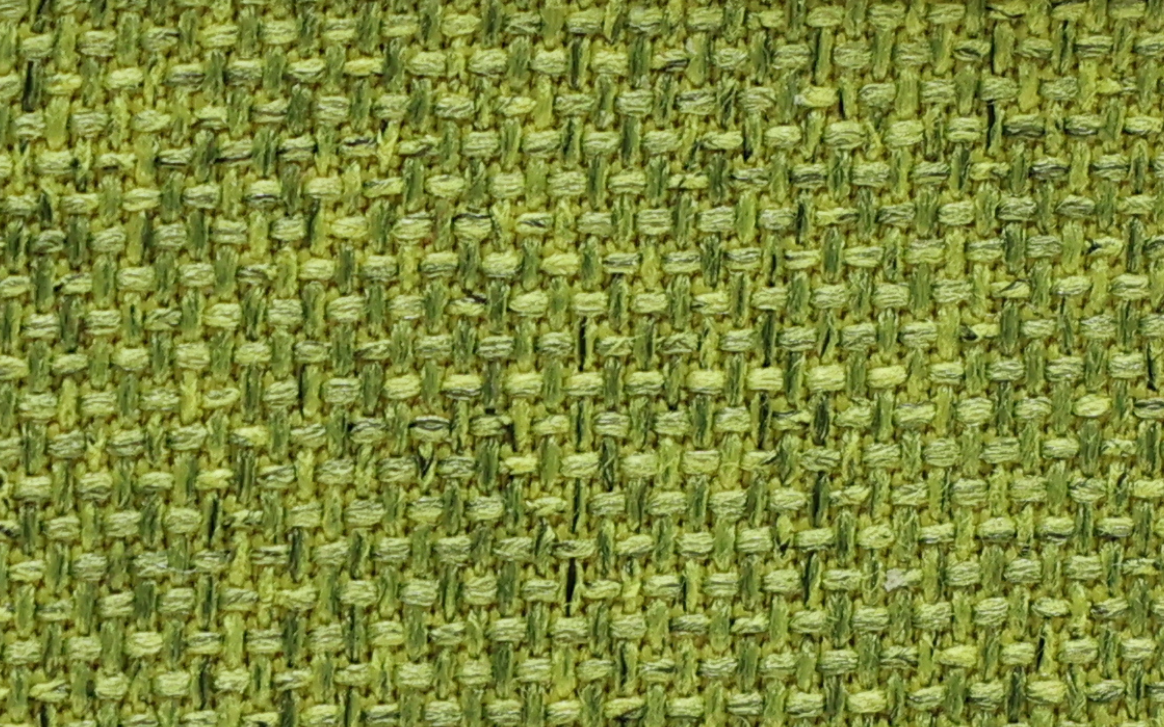 BL-127 Forest