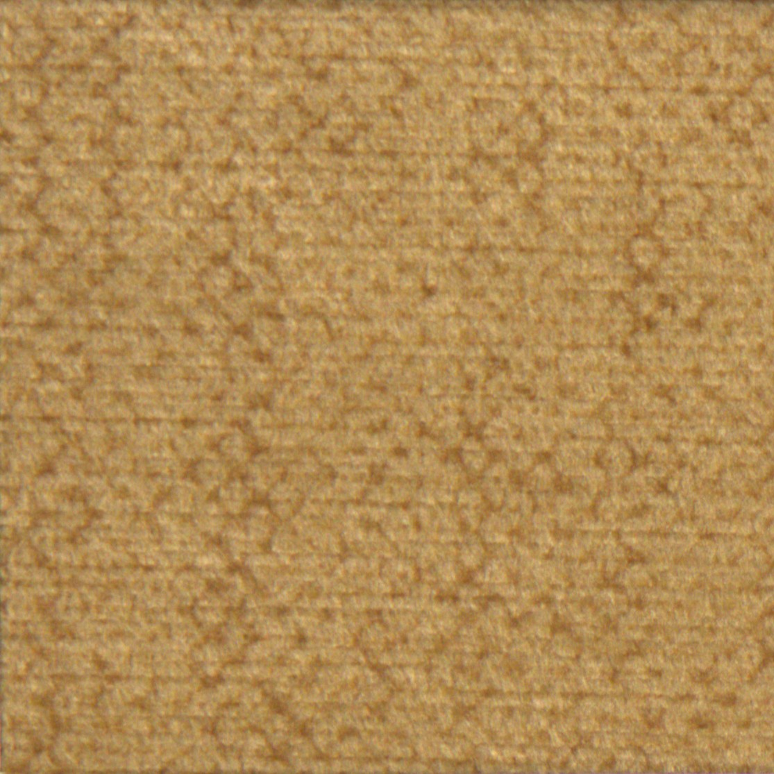 BS-101 Gold Rush