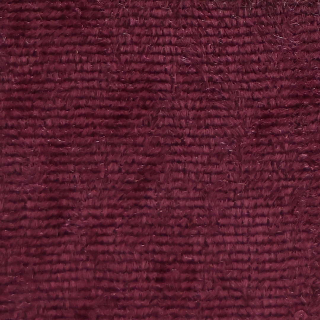 DN-204 Purple