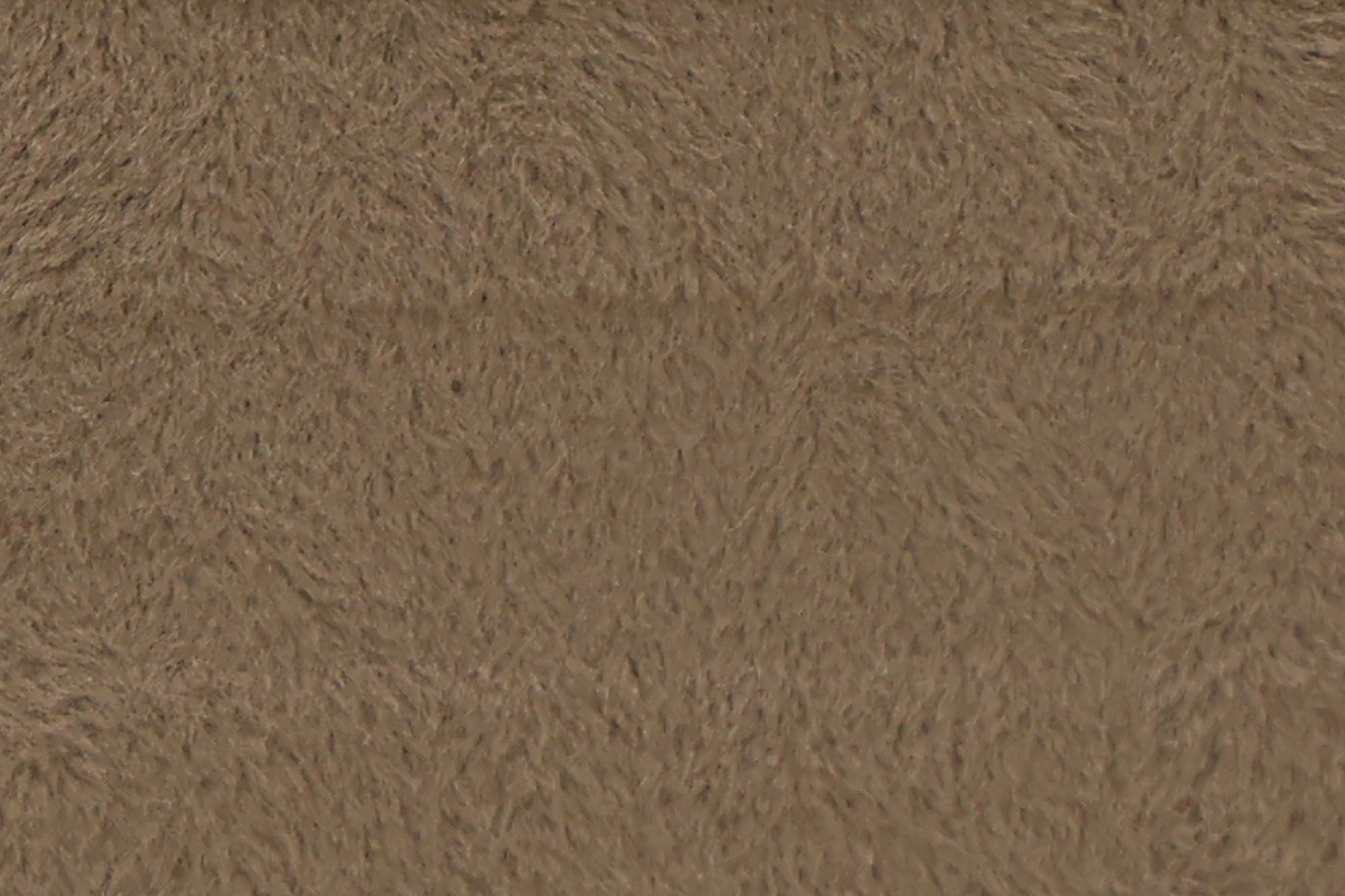FE-08 Tortilla