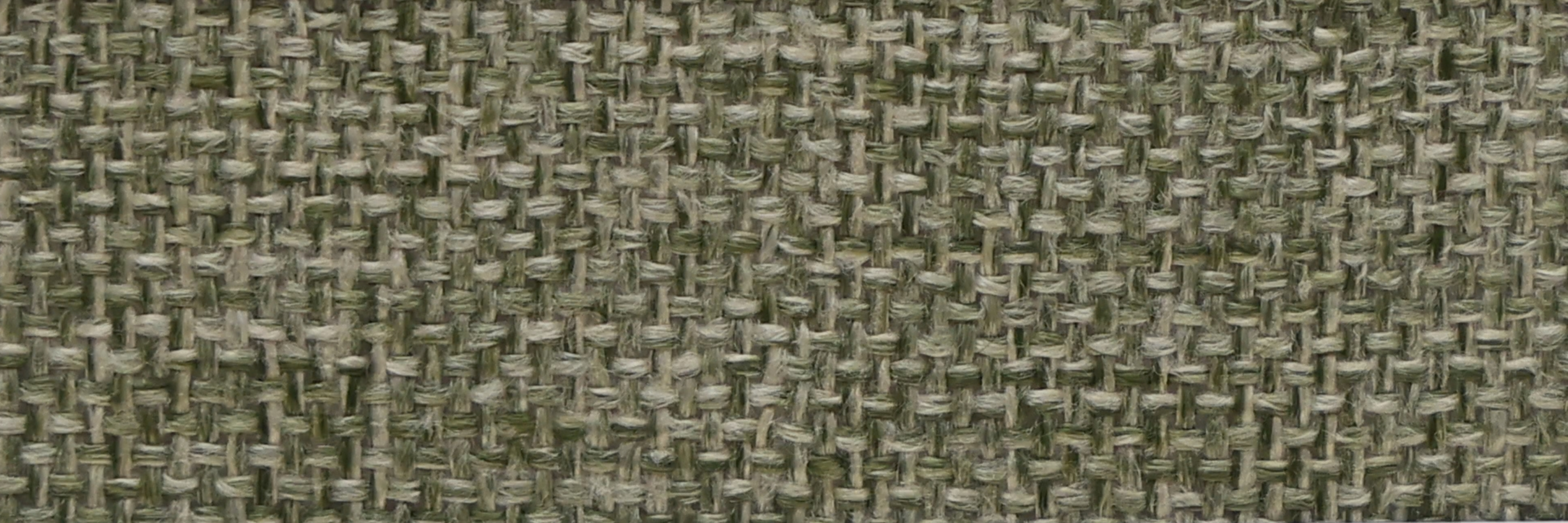 DE-16 Forest Green