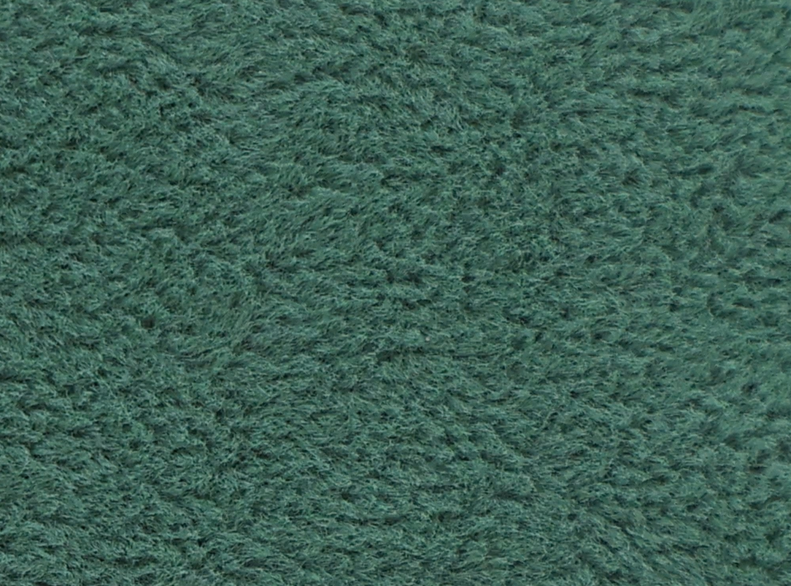 FS-107 Easy Green