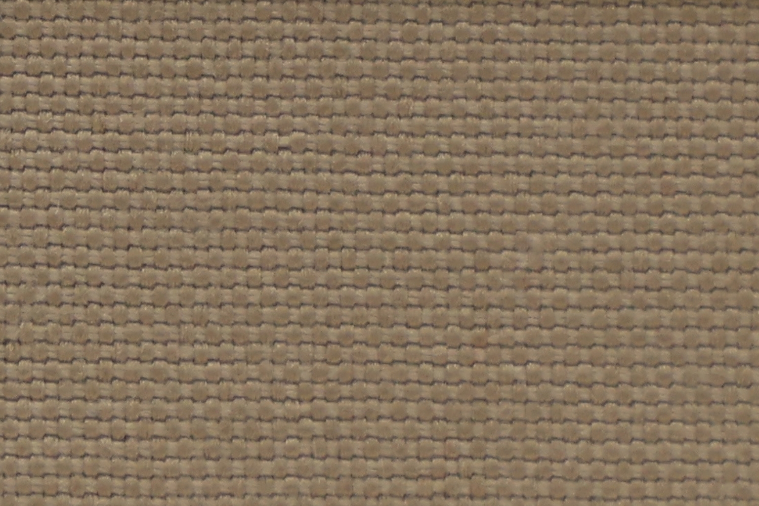 JU-126 Dry Acorn