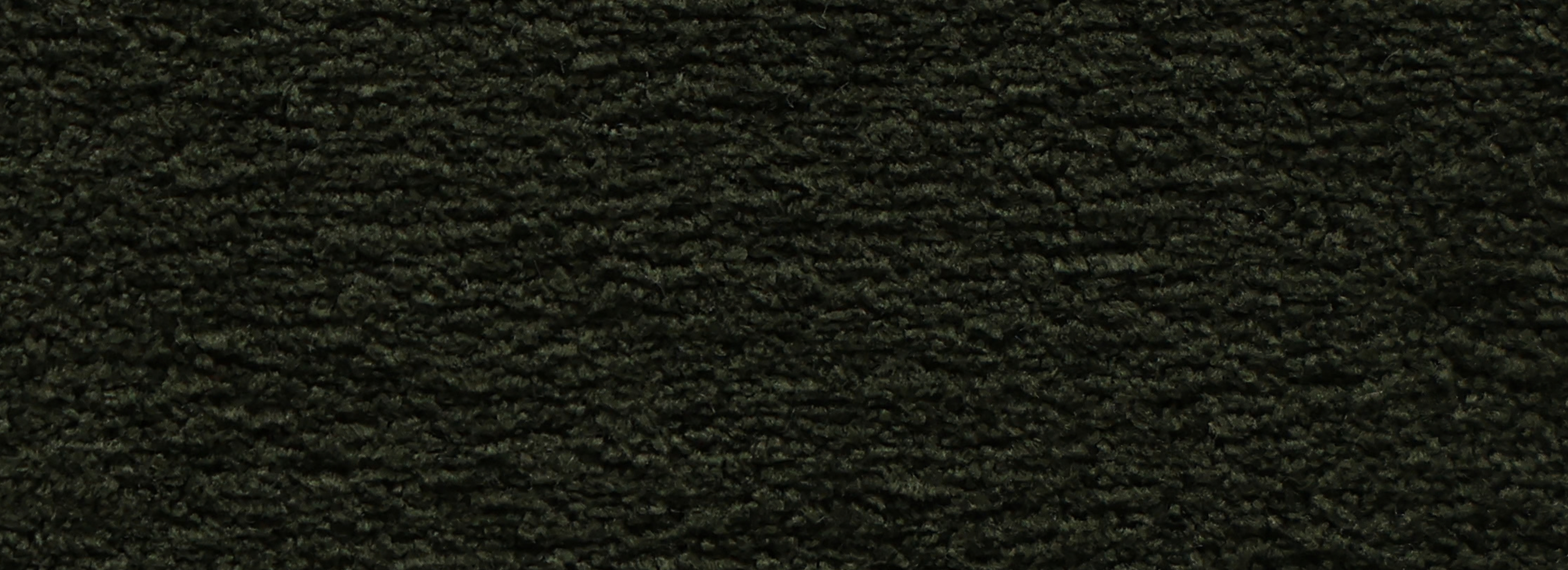 MT-19 Moss