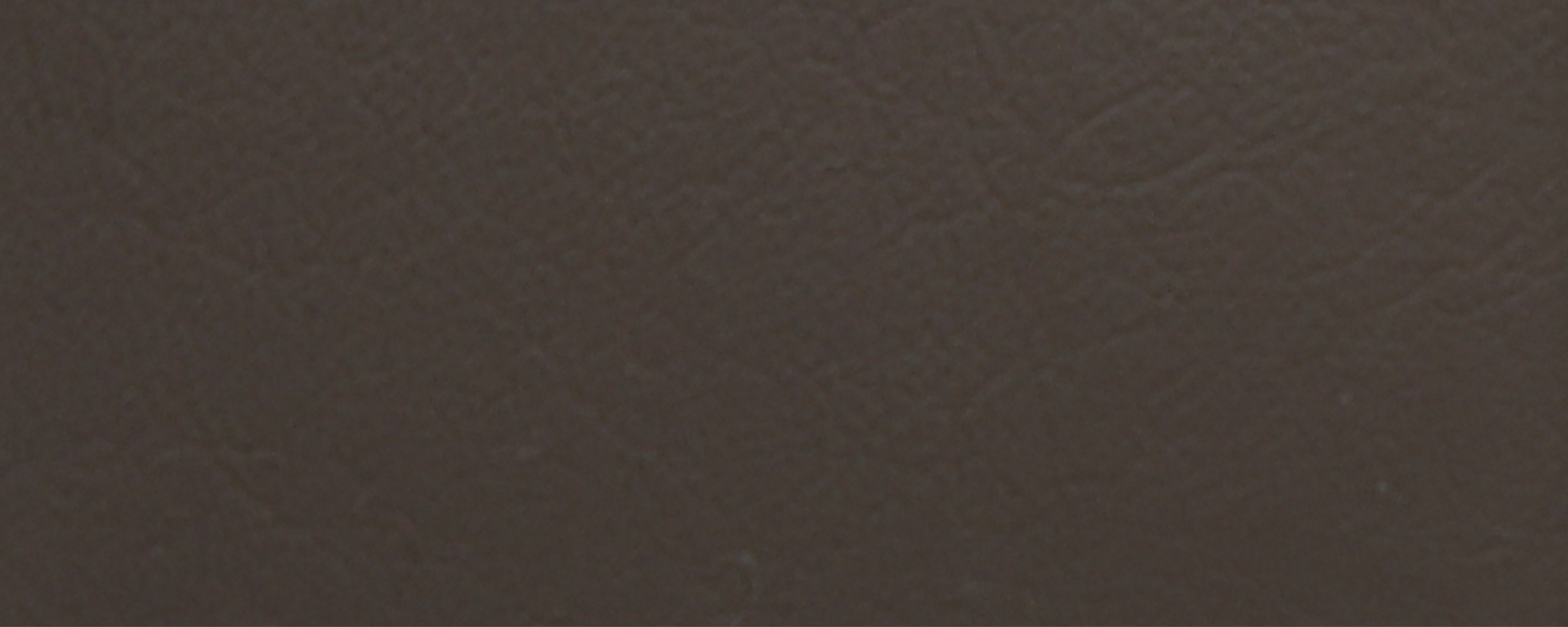 NS-101 Dimgrey