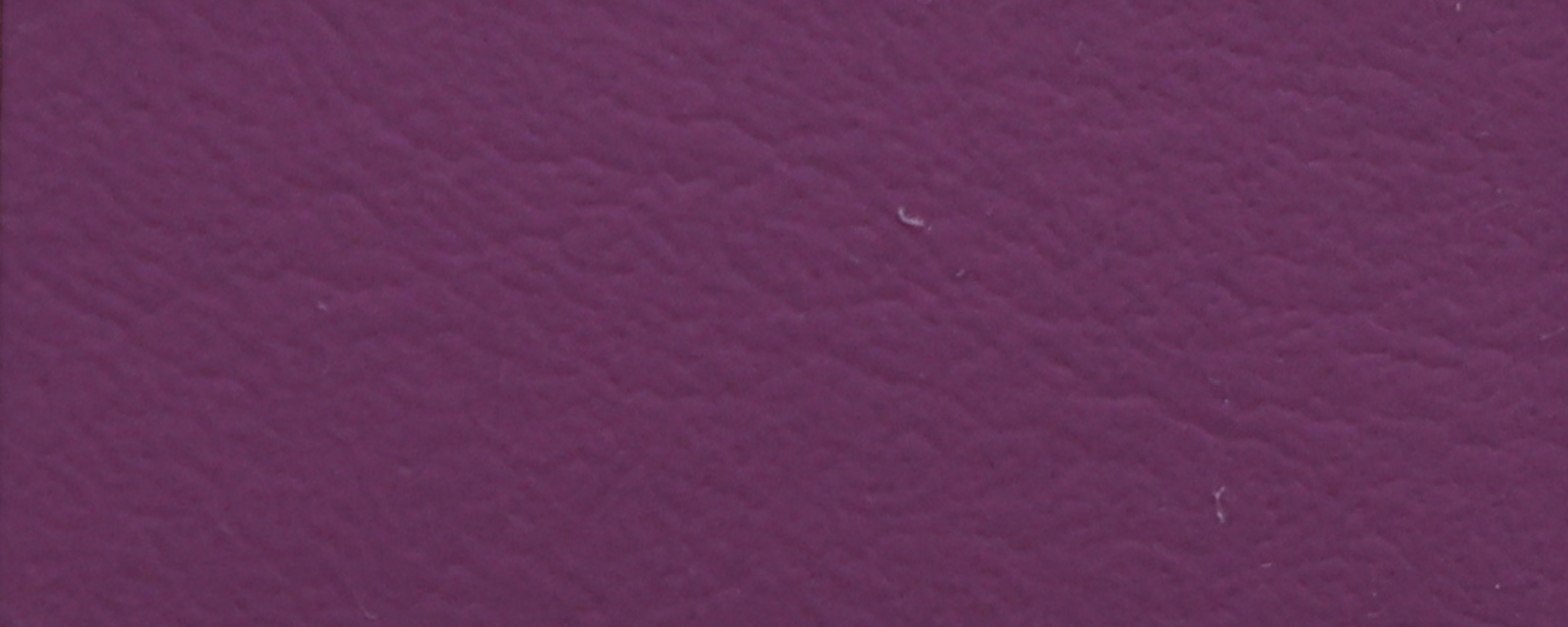 NS-109 Purple