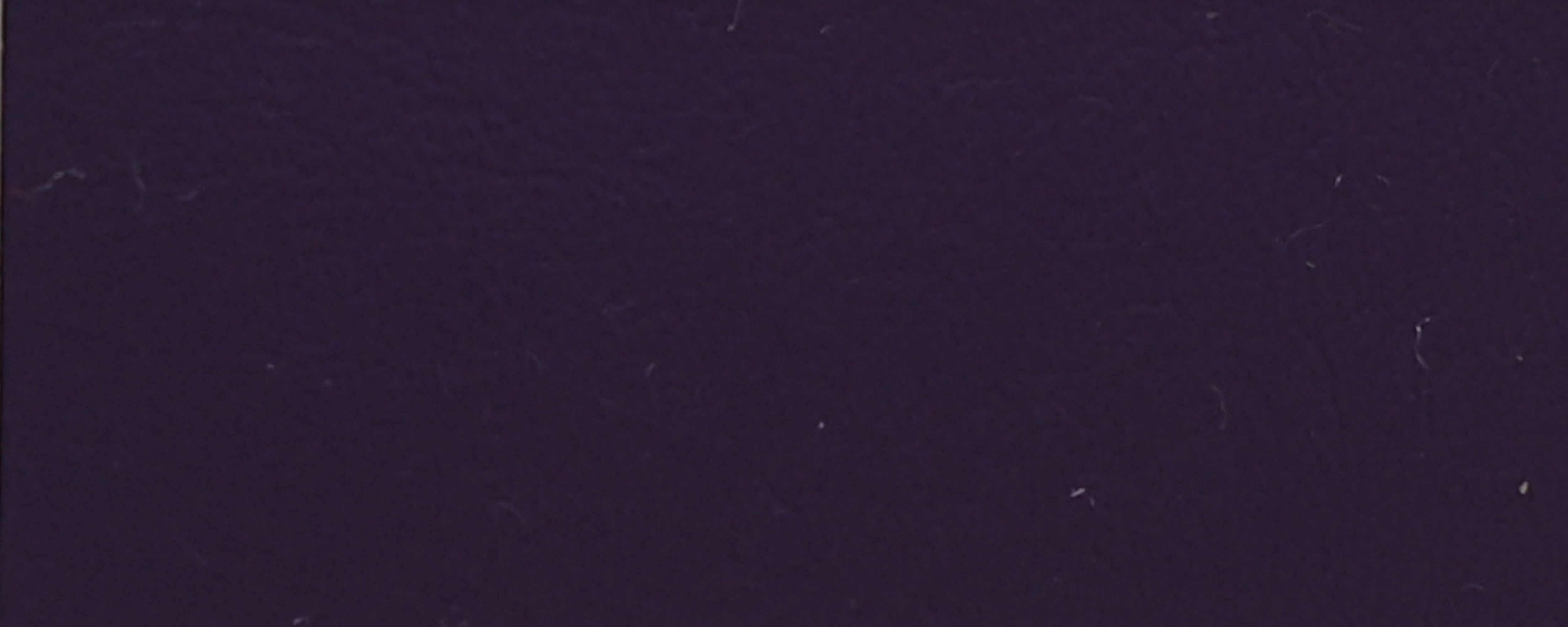 NS-110 Mauve