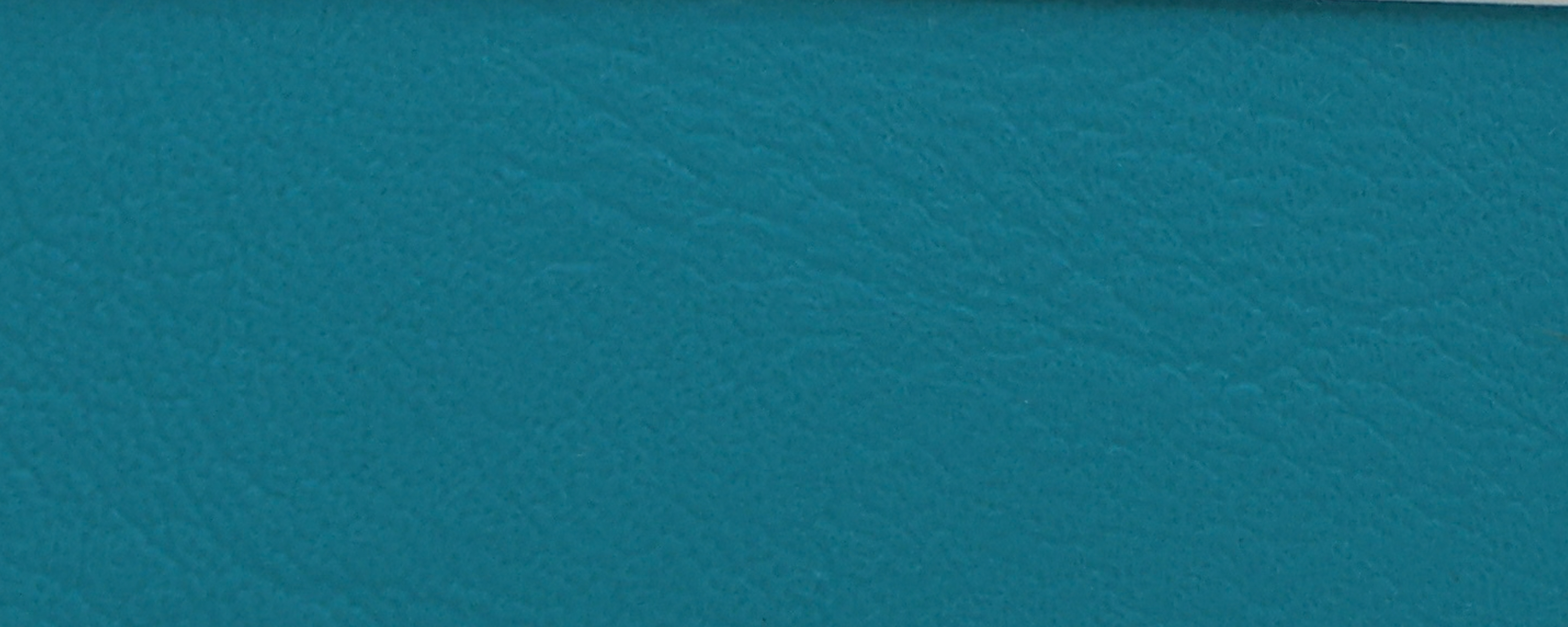 NS-112 Spearmint