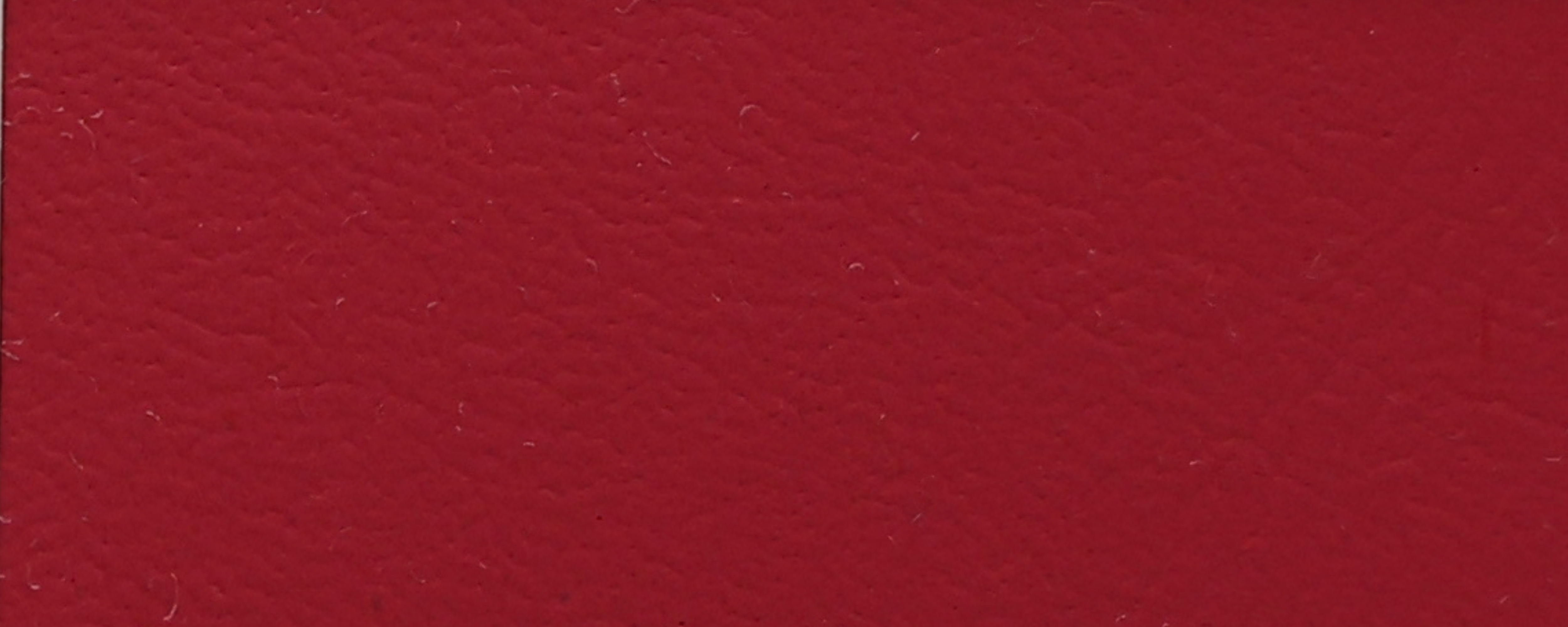 NS-116 Rose