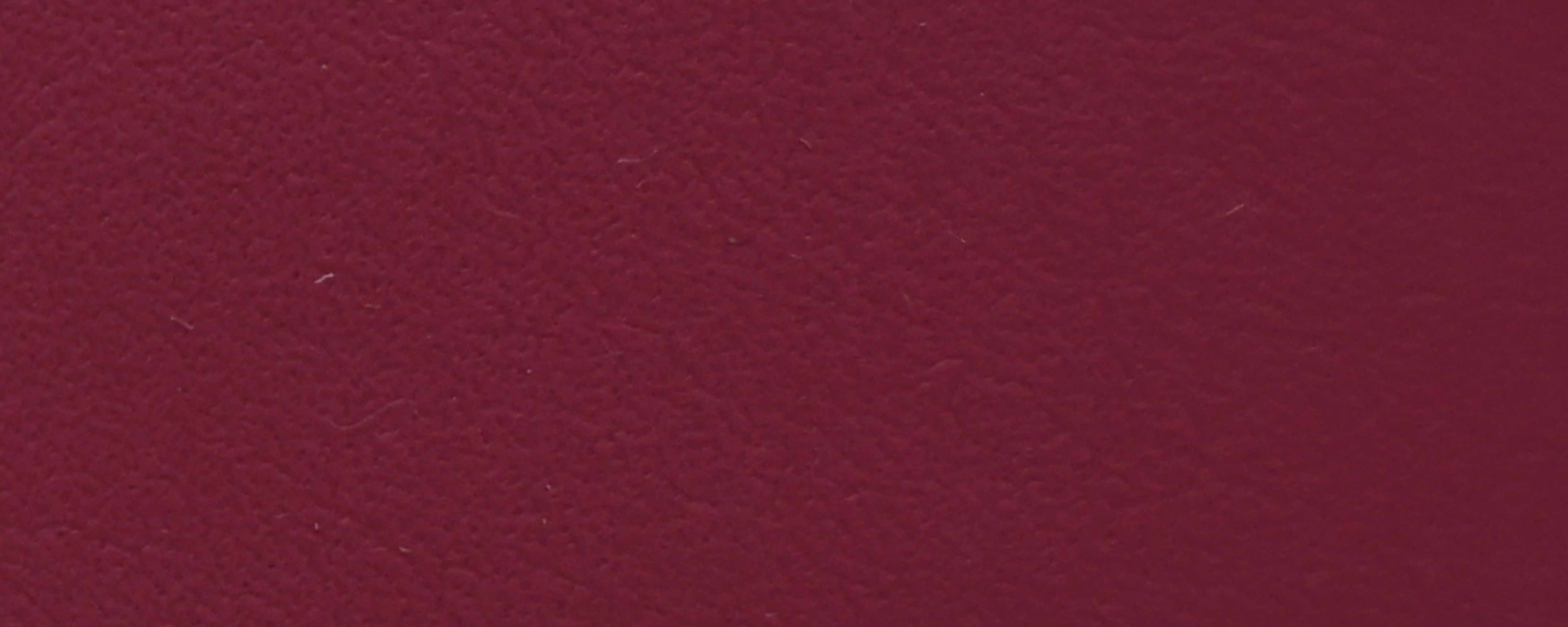 NS-120 Berry