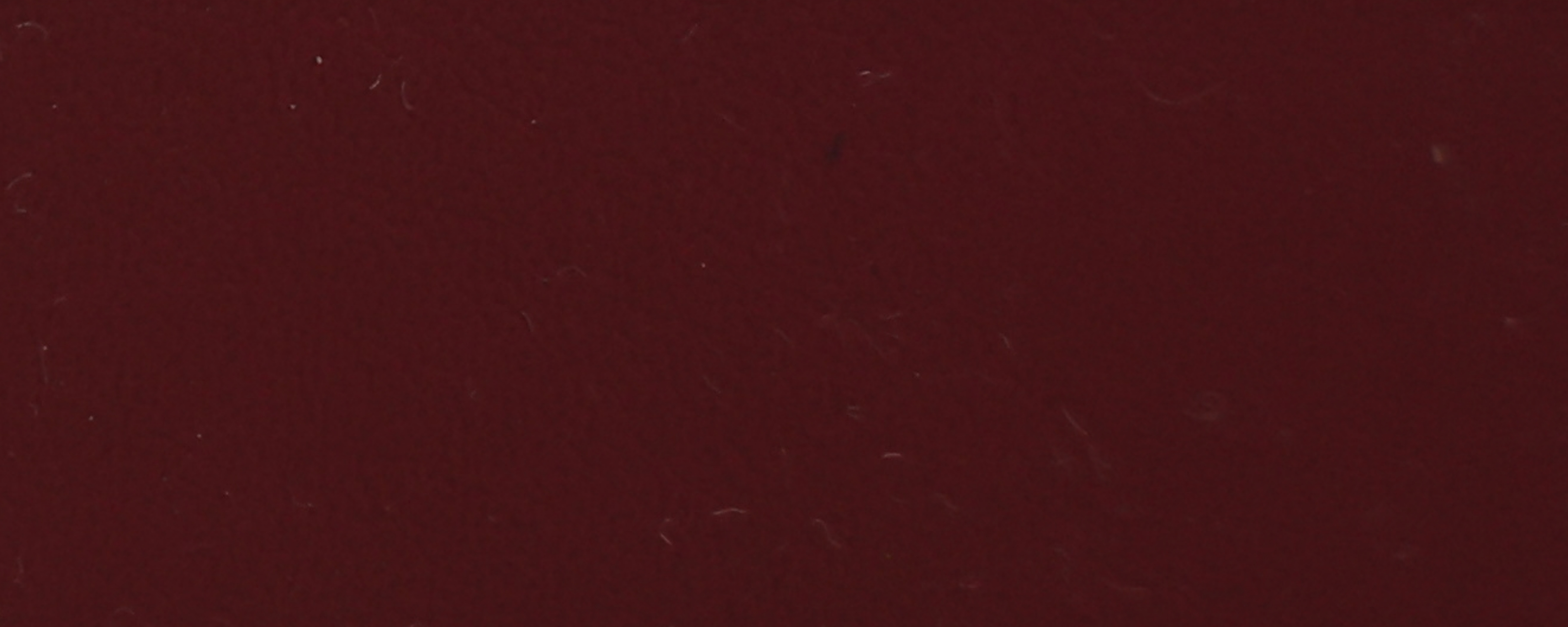 NS-121 Wine