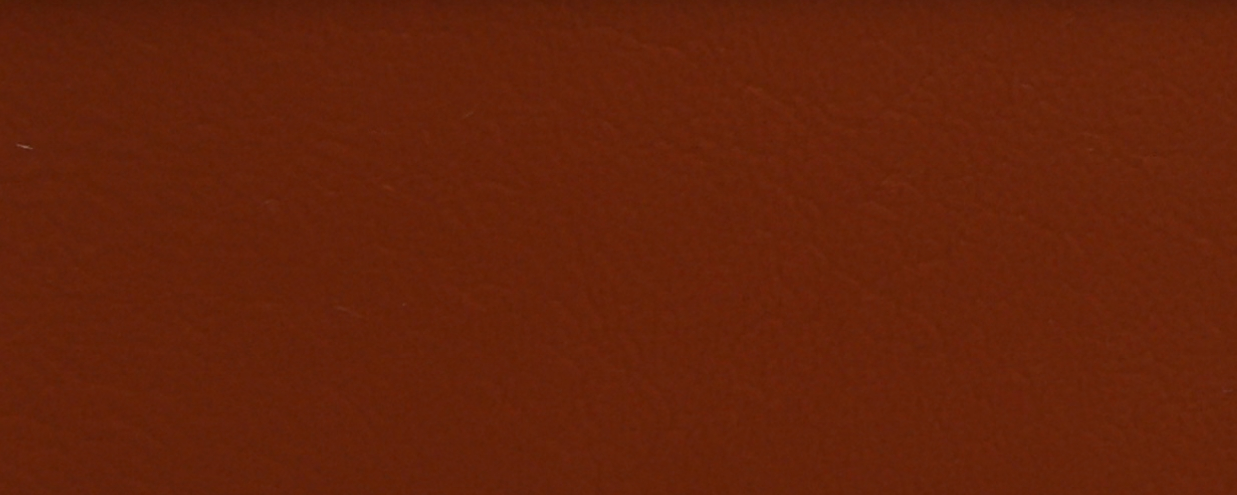NS-125 Rust