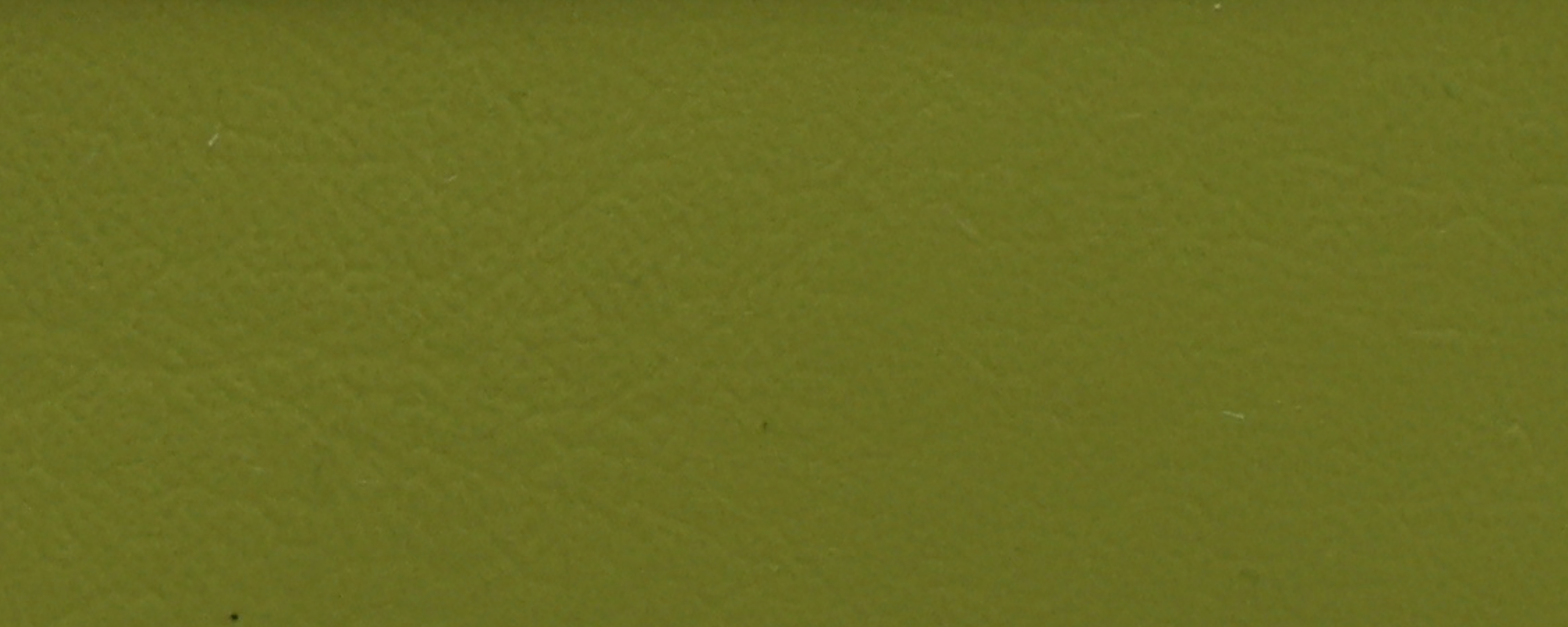 NS-130 Guacamole