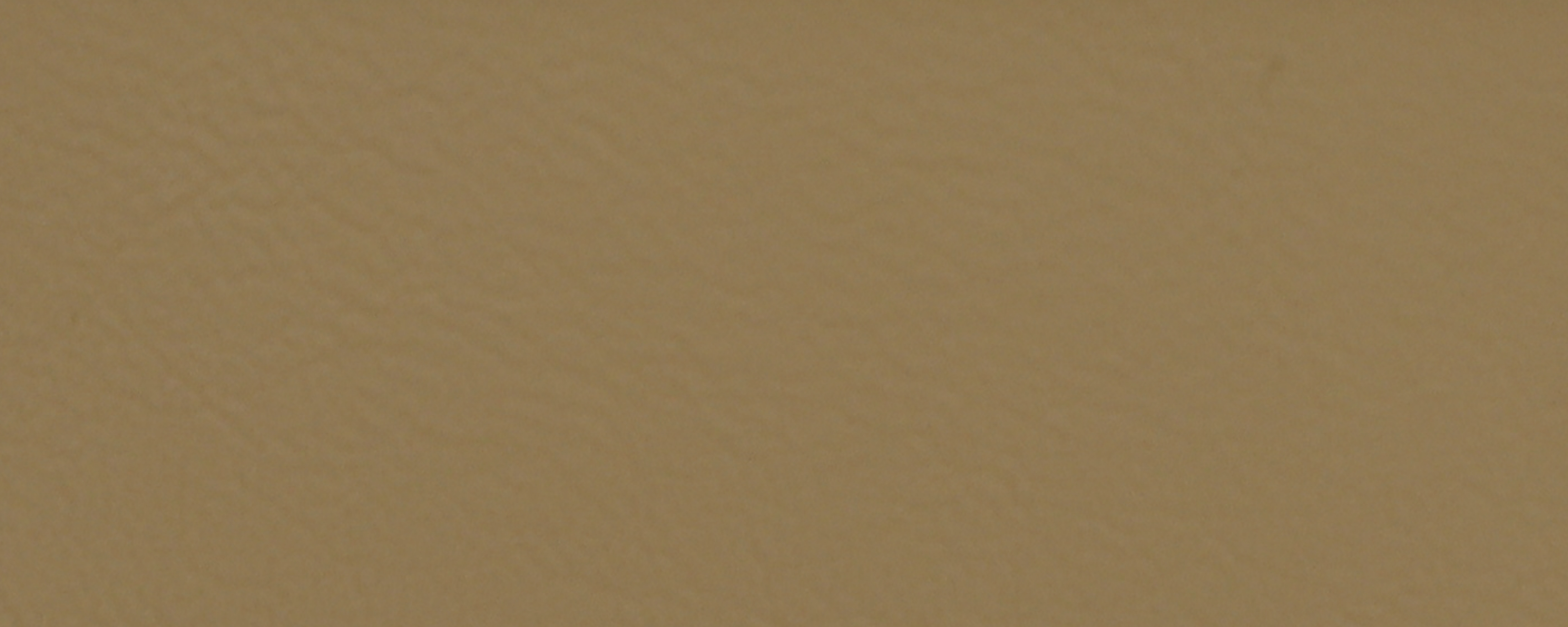 NS-134 Ivory