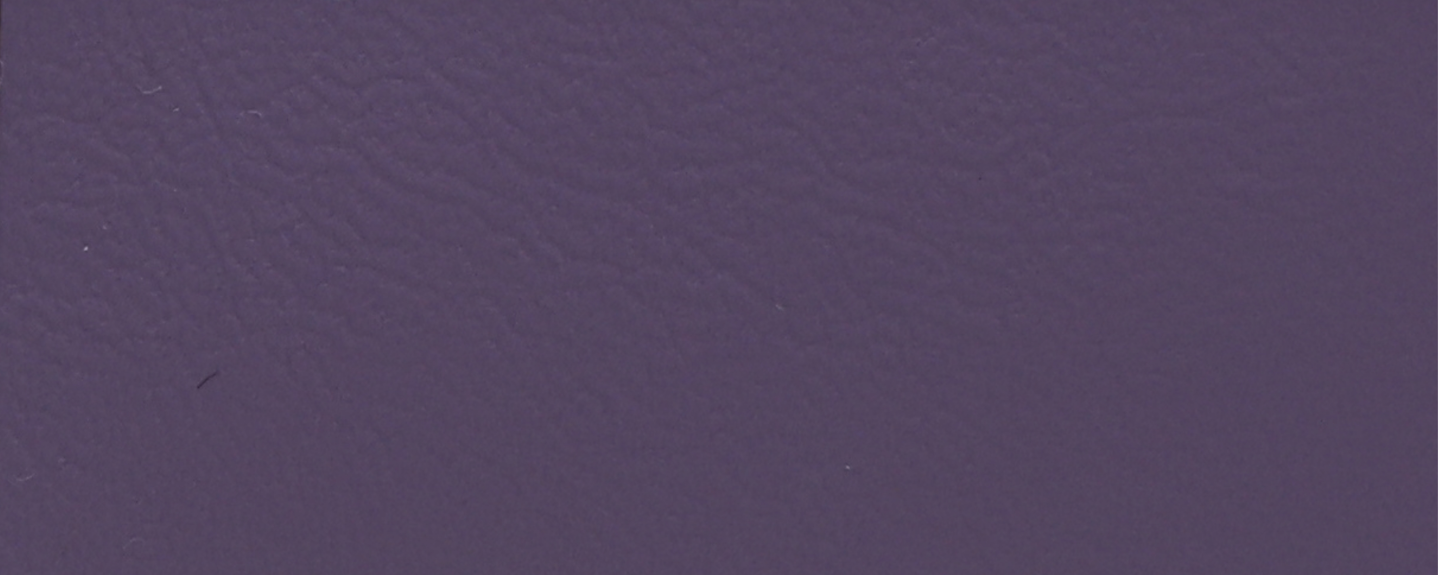 NS-139 Lilac