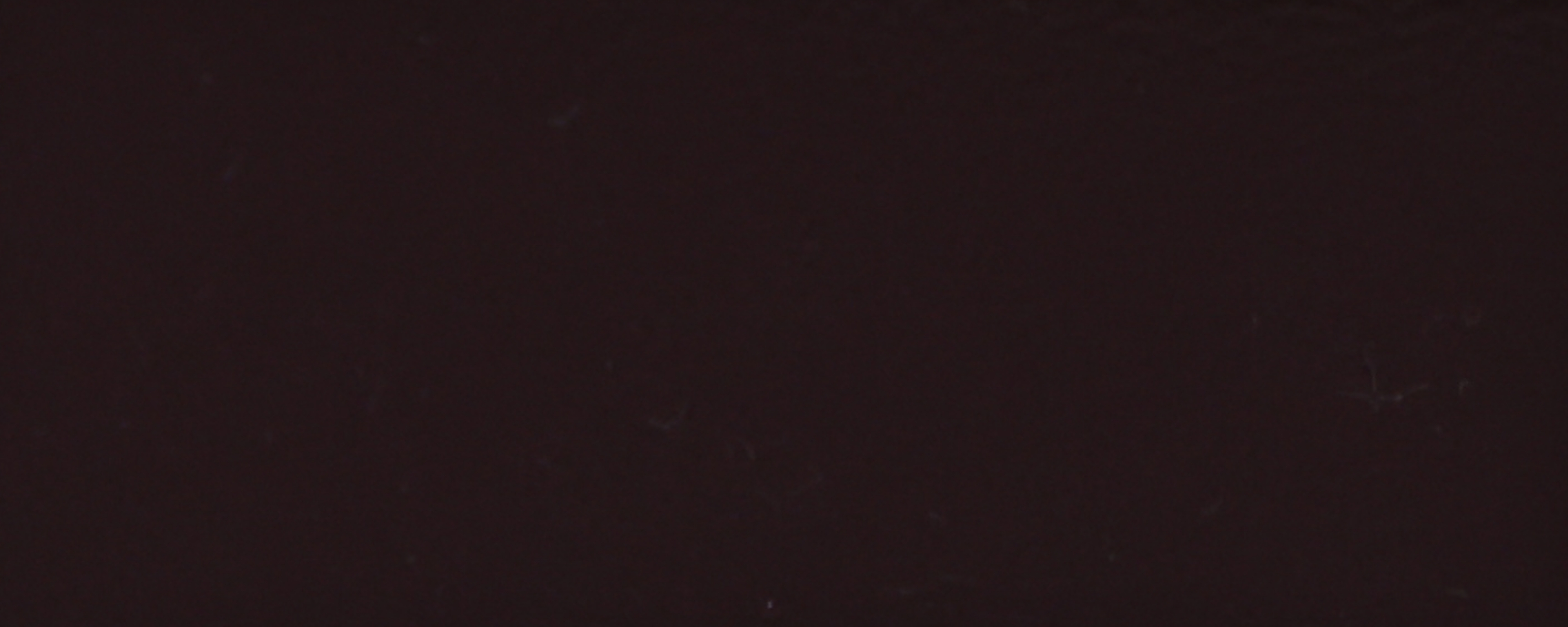 NS-141 Dark Chocolate