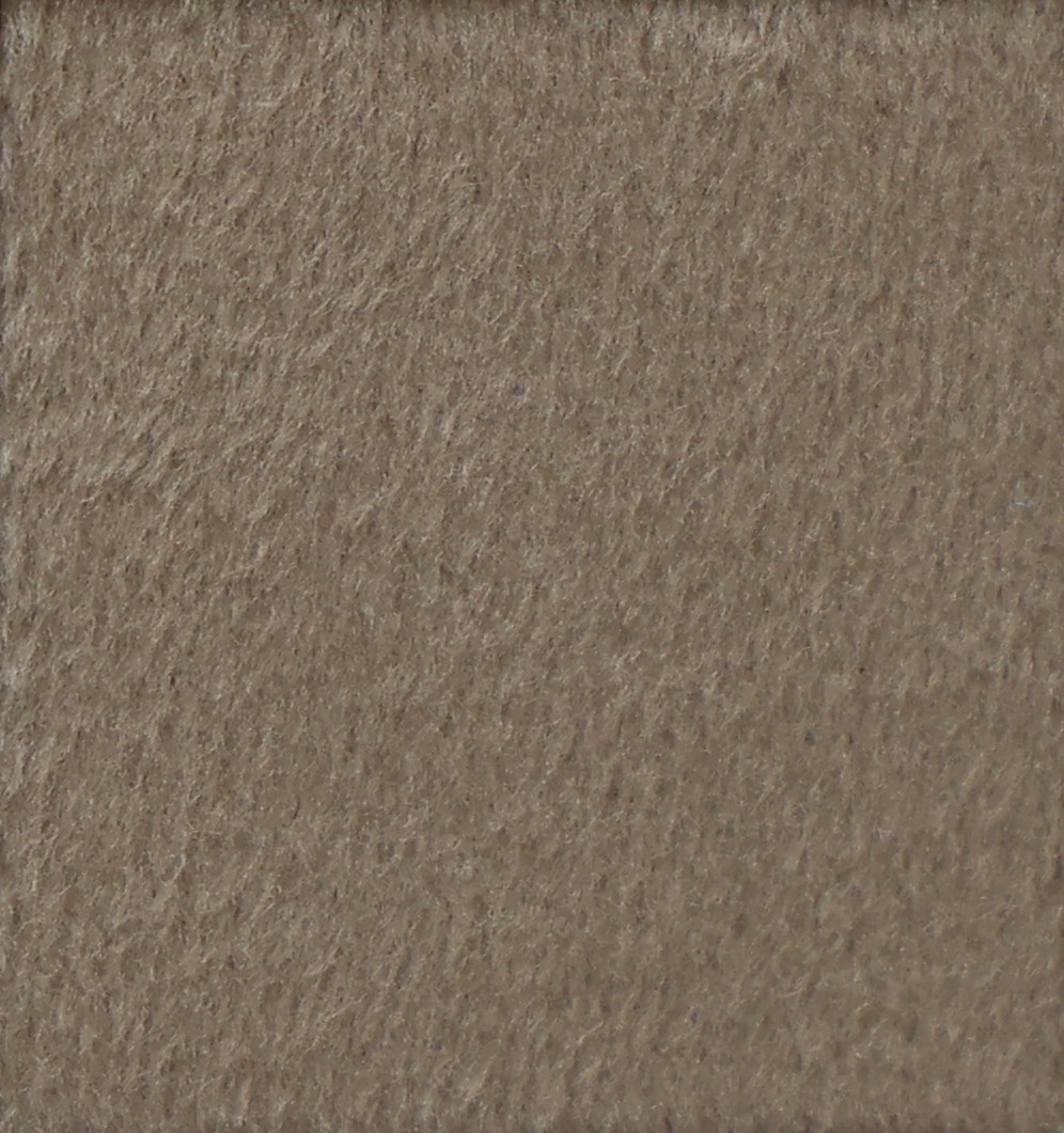 LY-134 Apricot
