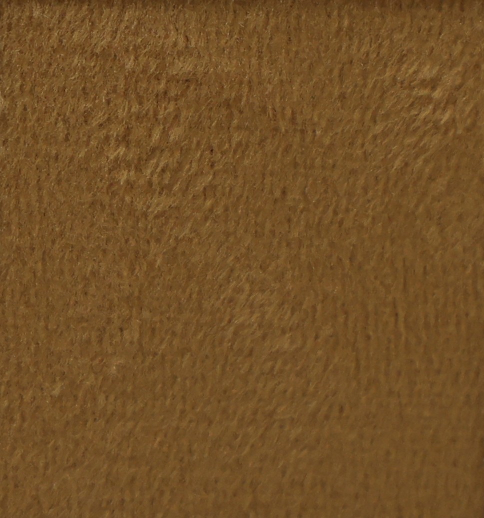 LY-136 Dry Acorn