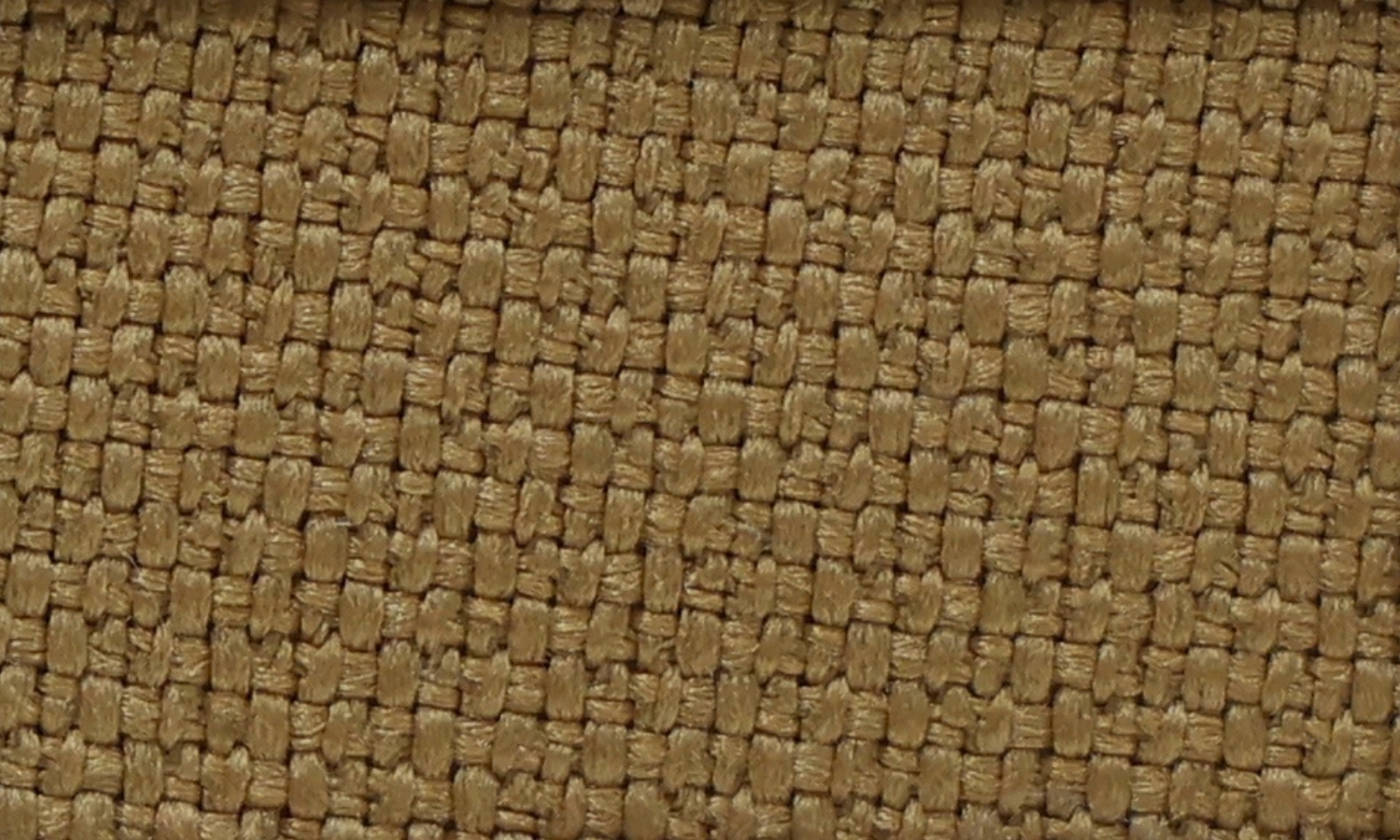 NX-51 Dry Acorn