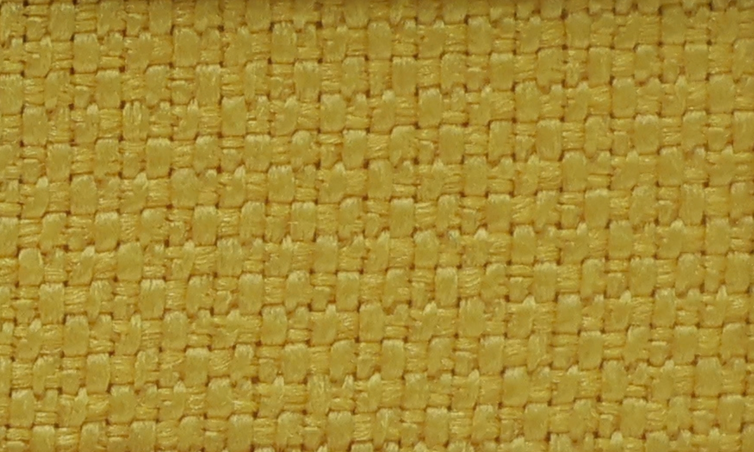 NX-52 Yellow Marigold