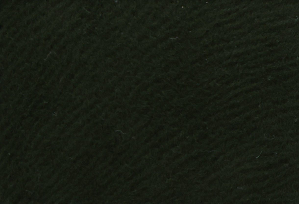 SE-104 Fern