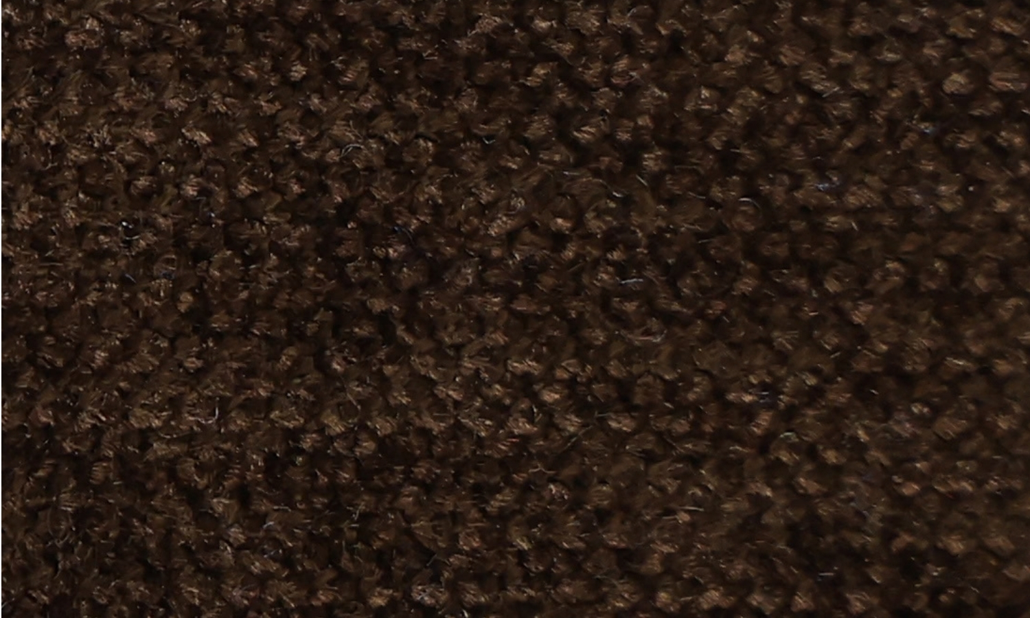 VR-111 Dry Acorn