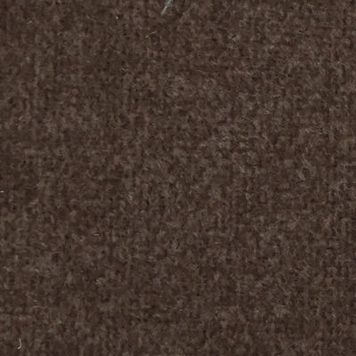 ZT-113 Dusty Trail