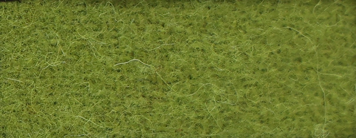 WX-119 Fern Green