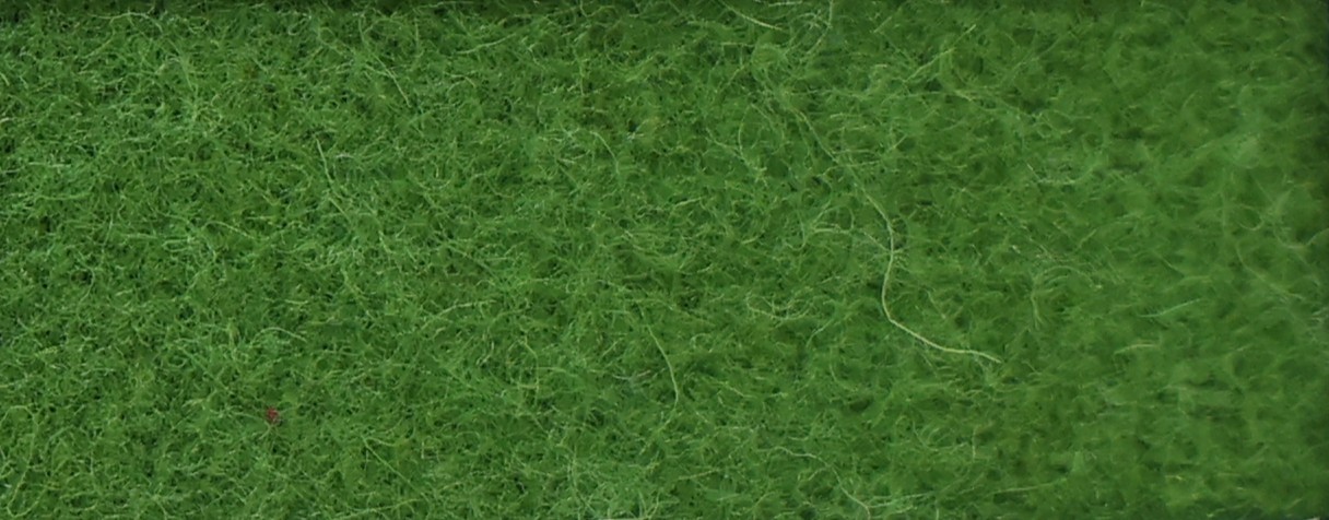 WX-120 Botanical Green