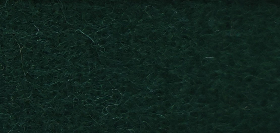 WX-123 Kale Green
