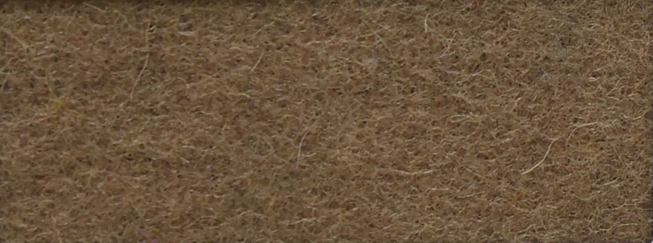 WX-127 Beige Hue