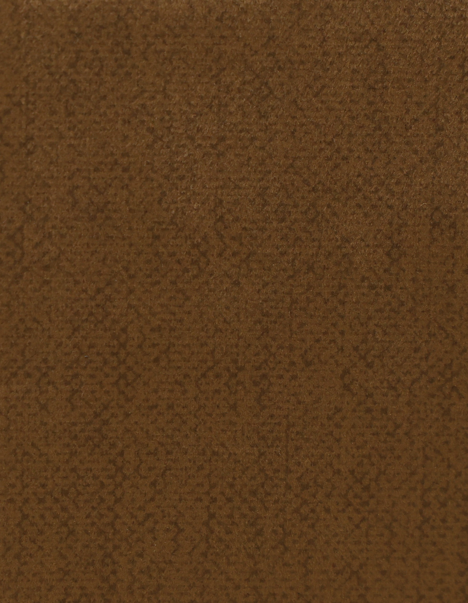 BS-107 Pine Cone