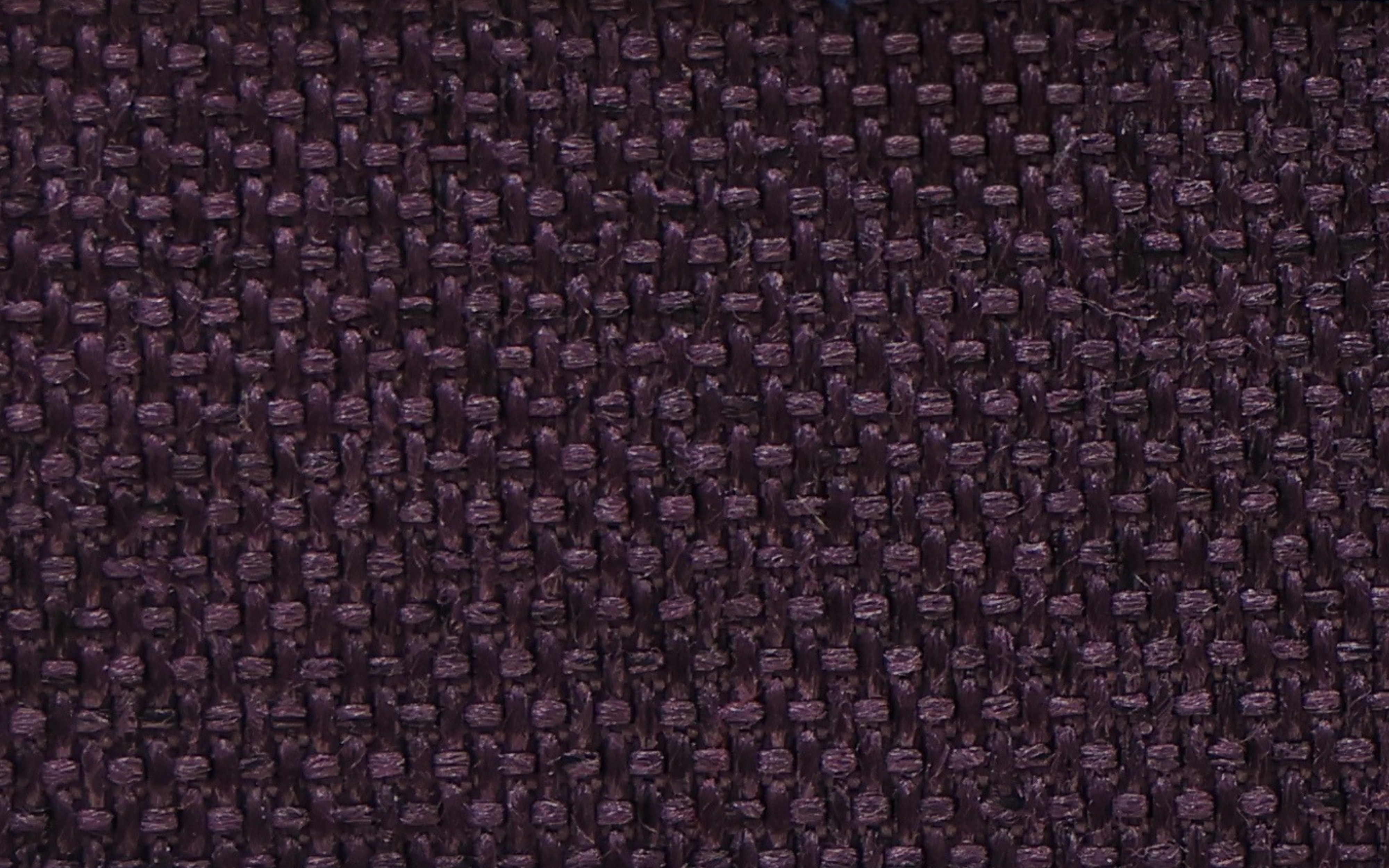 BL-144 Purple