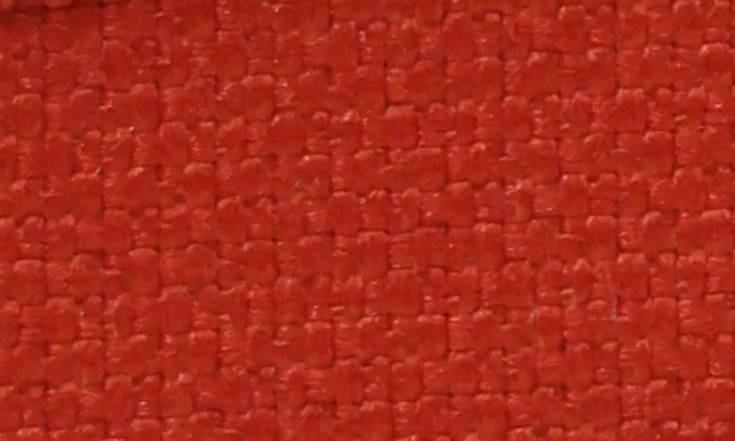 NX-38 Rich Tomato
