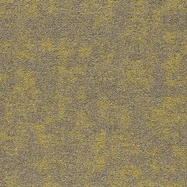 Grainfield