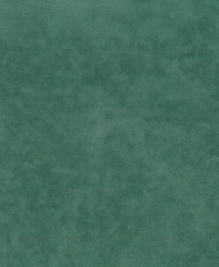 FS-107 Easy Green