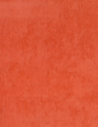 FS-121 Orange Vision