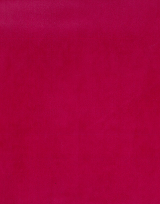 FS-123 Raspberry