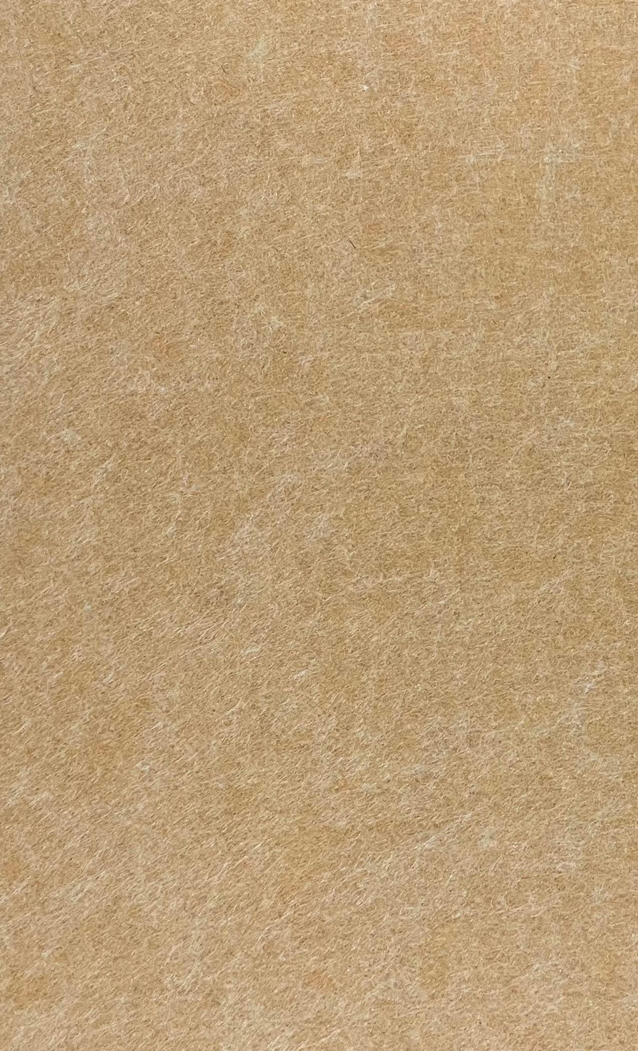 GS - 05 Tortilla