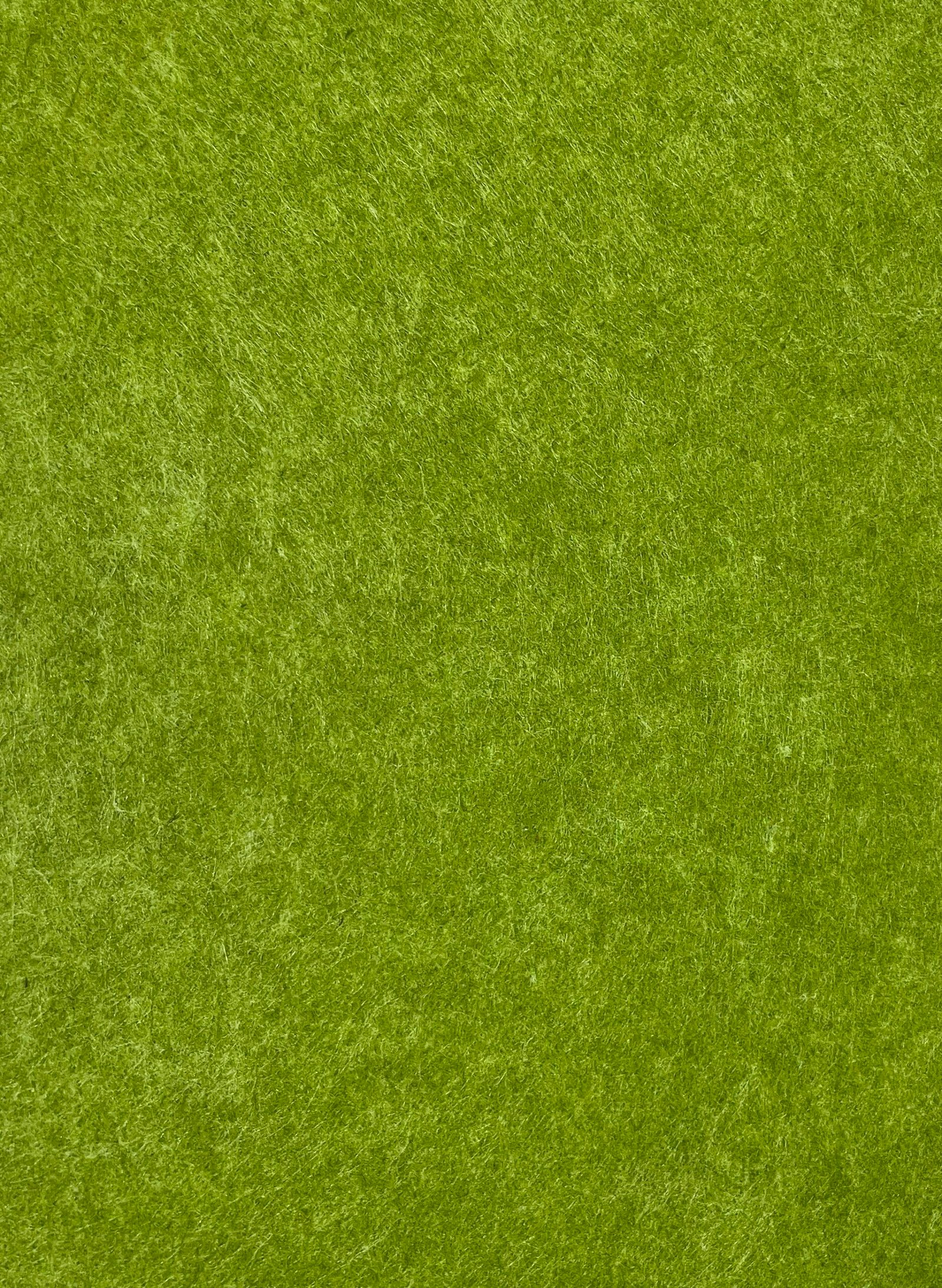GS - 30 Fern