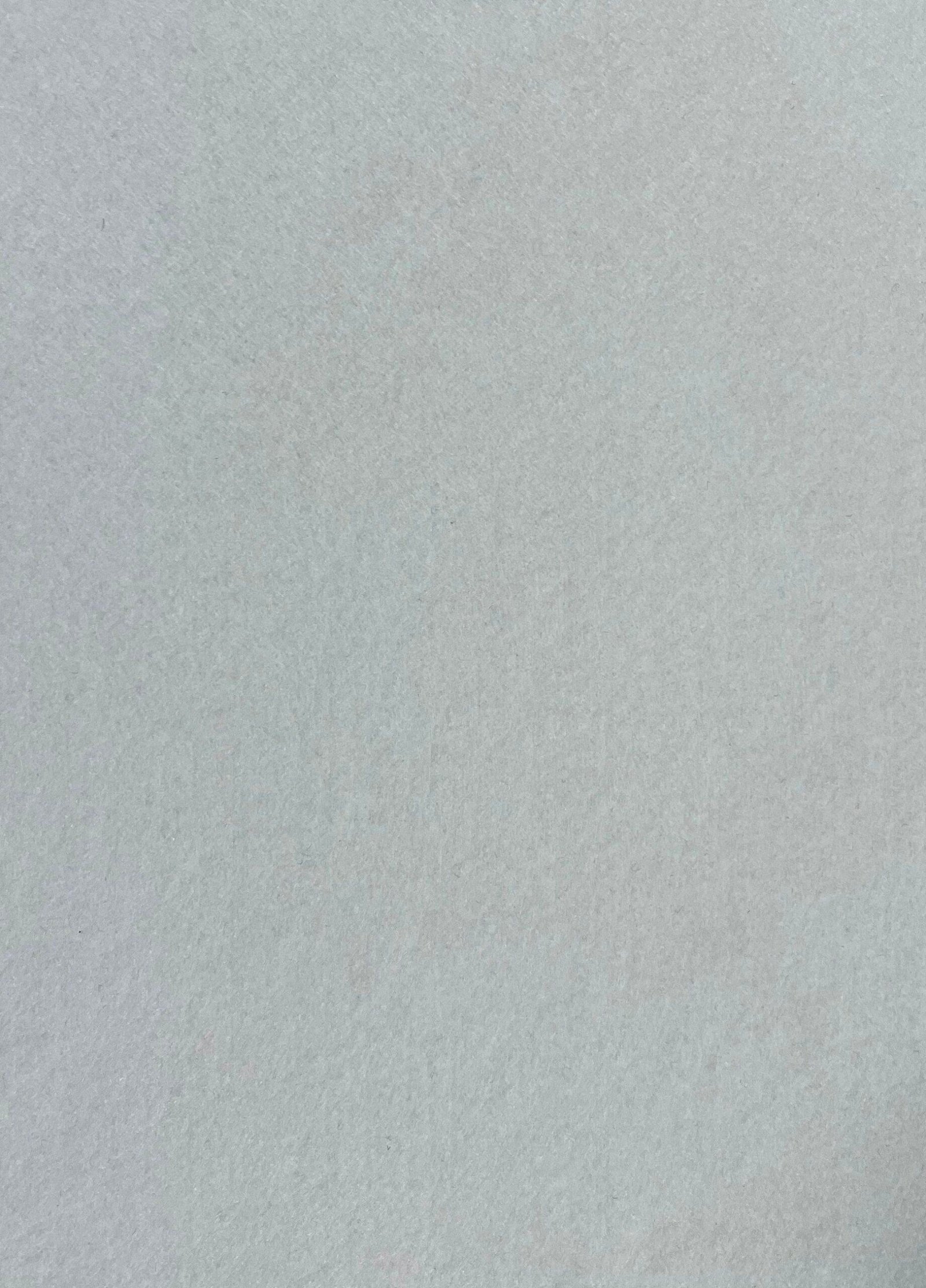 GS - 48 Snow