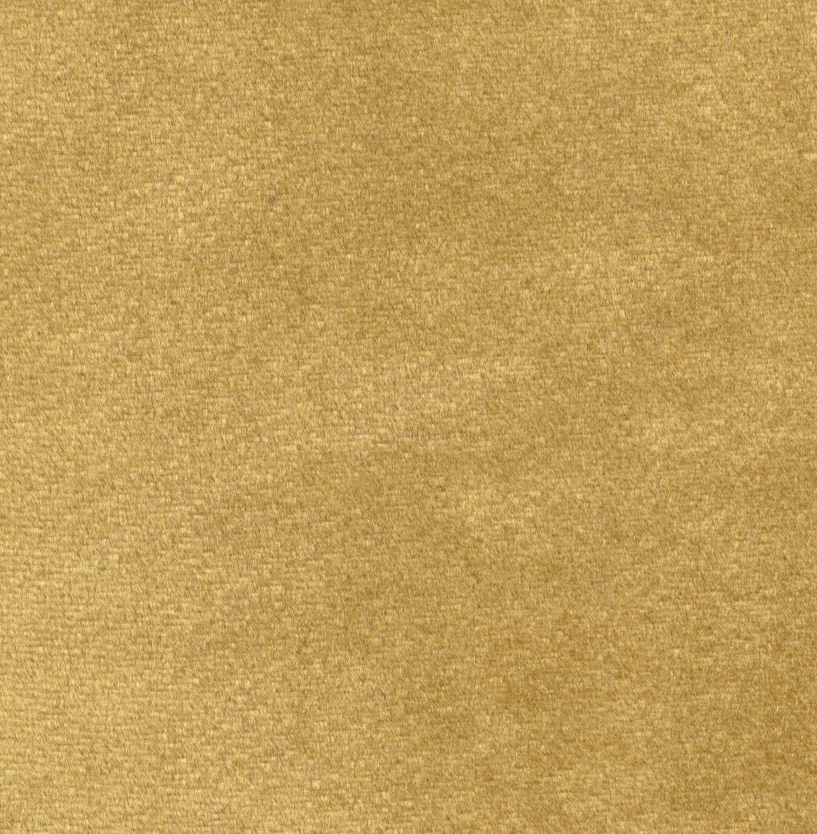LY-134 Apricot