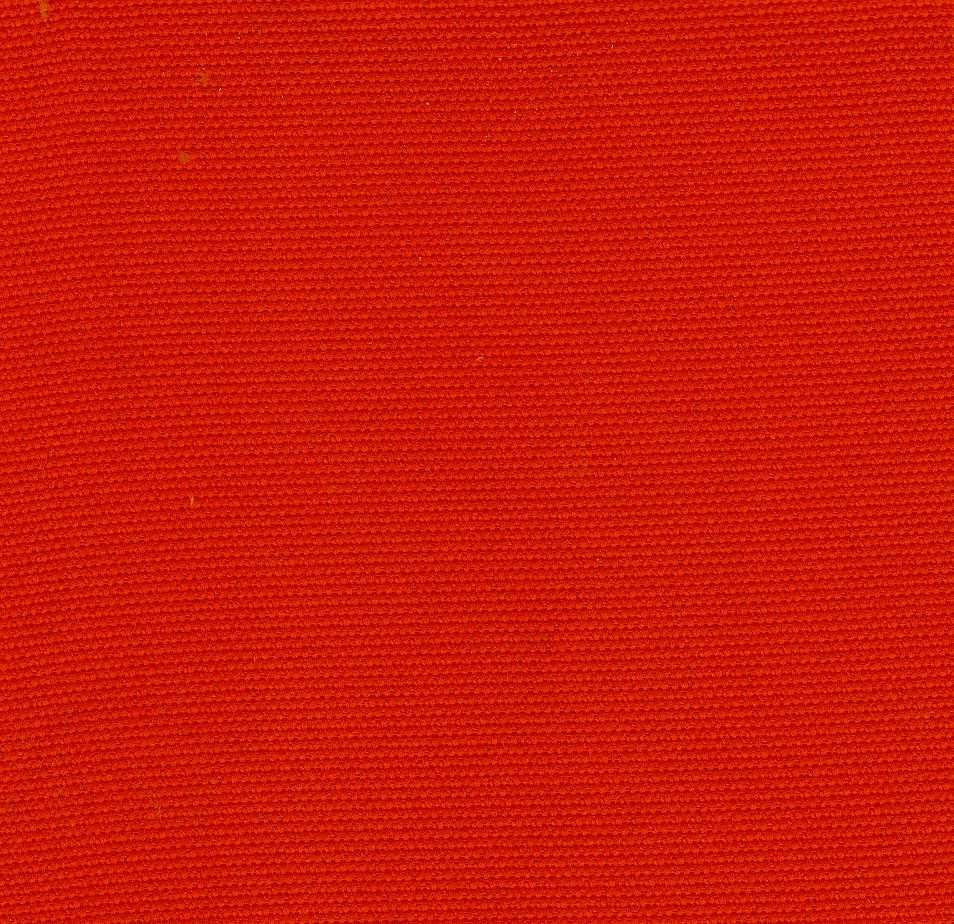 NX-38 Rich Tomato