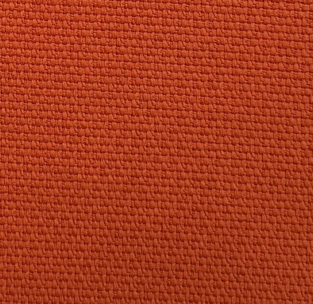 NX-43 Orange Vision
