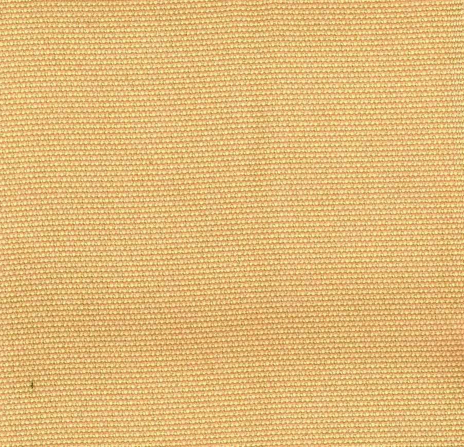 NX-50 Peach Organza