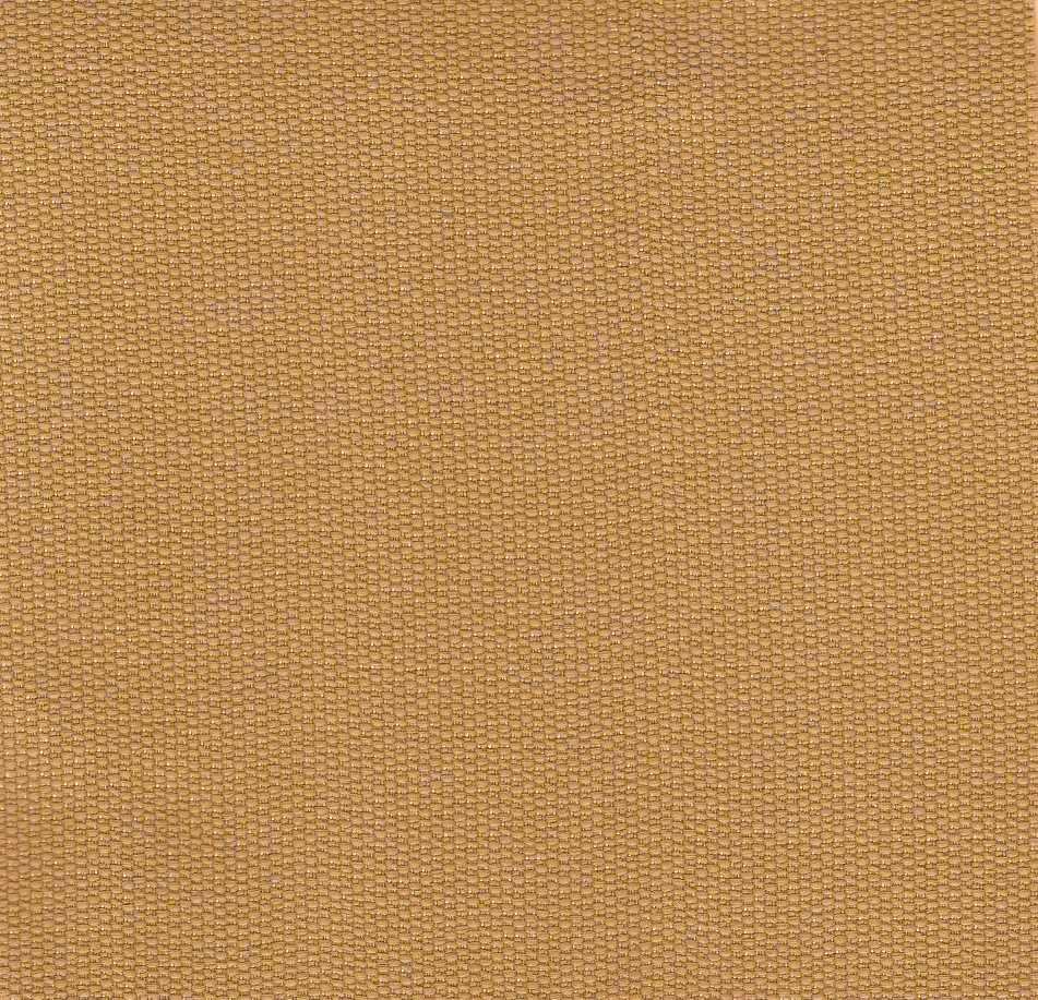 NX-51 Dry Acorn