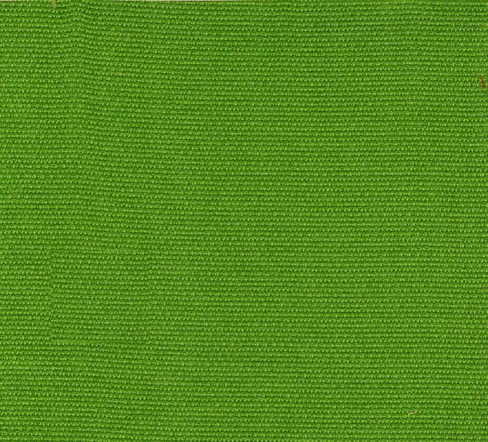 NX-60 Organic Green