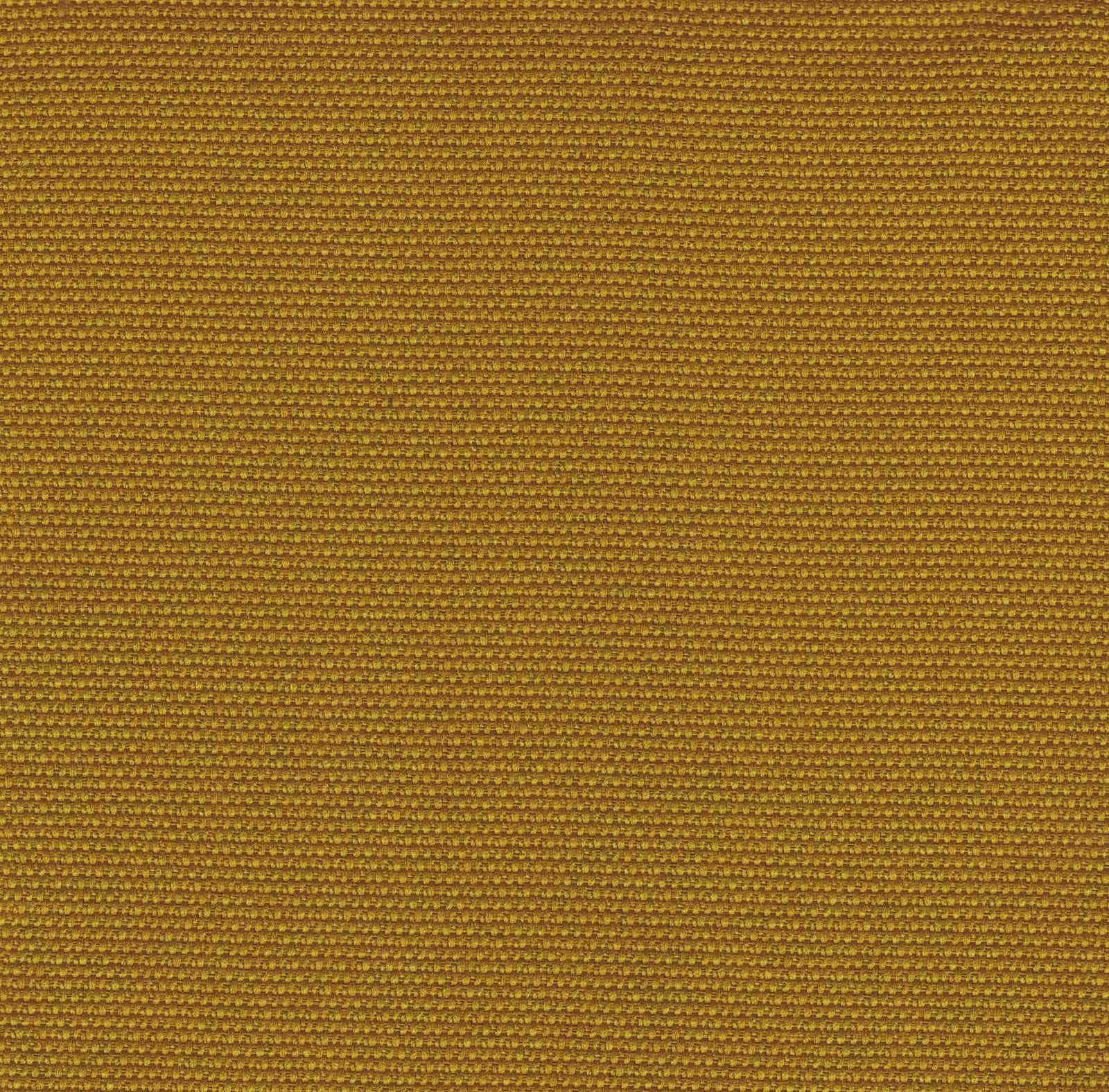 NX-63 Pine Corn